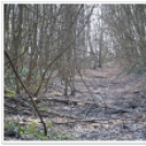 Hagymatikum Kupa tájékozódási futóverseny