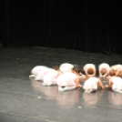 Csodálatos gálát tartott a VargaBalett