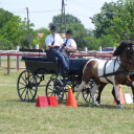 Ló és lovasa című fotókiállítás