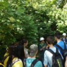 Hatszáz makói diák a Füvészkertben.