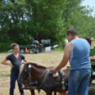 Gyermeknap Lóháton