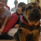 Táncbemutató a MAKK-ban!