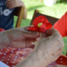Gyereknap a Hagymaház mögött