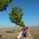 Kerekes Éva Zarándokútja