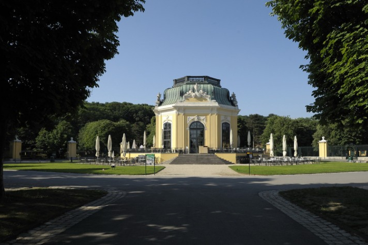 Már a bécsi állatkertben is megjelent a madárinfluenza