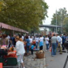 Szombat a Hagymafesztiválon