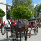 Turisztikai konferencia 2014. május 09. Makó