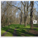 Hagymatikum Kupa tájékozódási futóverseny