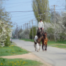 Ló és lovasa című fotókiállítás