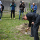 Holokauszt-emléktábla avatás és faültetés