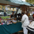 Szombat a Hagymafesztiválon