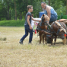 Gyermeknap Lóháton