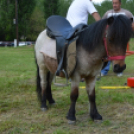 Pillanatképek a makói majálisról