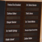 Alakuló ülés és zászlófelvonás Makón