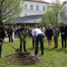 Holokauszt-emléktábla avatás és faültetés