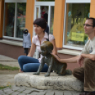 Szombat a Hagymafesztiválon