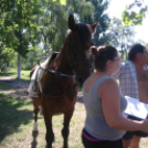  I. Torontál Kalandtúra 