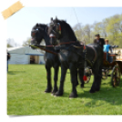 Böjtös Gasztrohétvége