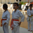 Családi Sportnap Makón