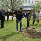 Holokauszt-emléktábla avatás és faültetés