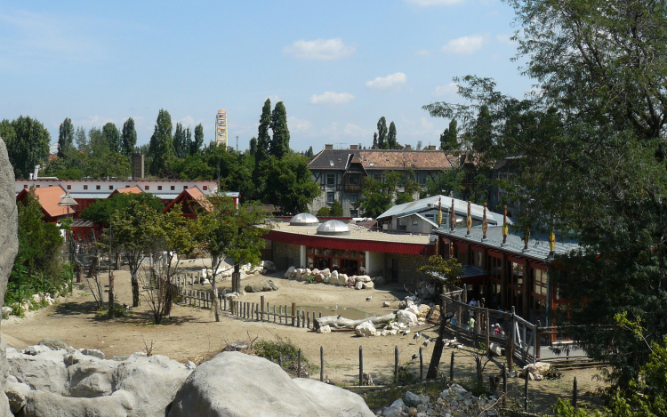 Idén a Szavanna-kifutót újítaná meg a felajánlott szja 1 százalékokból a Fővárosi Állatkert