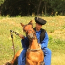 Ló és lovasa című fotókiállítás