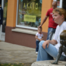 Szombat a Hagymafesztiválon