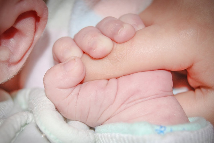 A családtámogatások bővítésével párhuzamosan nő a családalapítási kedv és a házasságkötések száma