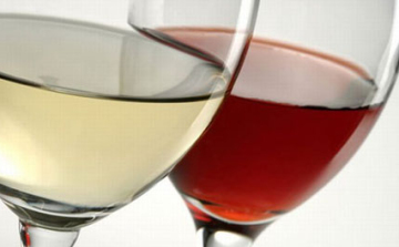 A XX. Szegedi Borfesztiválra készülőknek Mucsi Zoltán videóüzenete