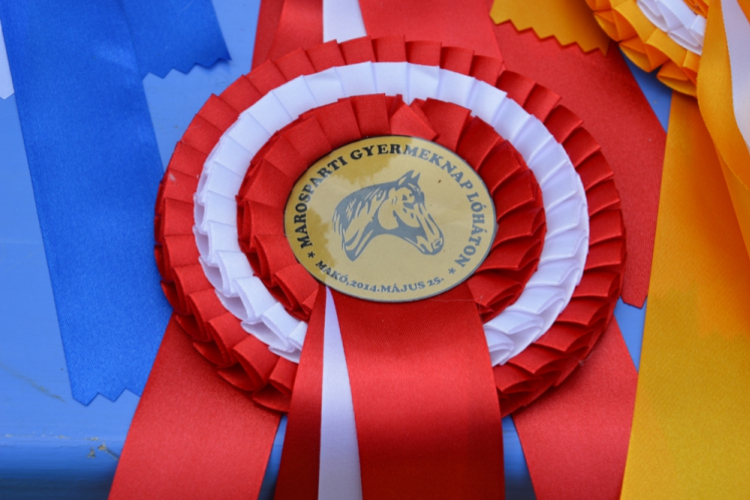 Gyermeknap Lóháton