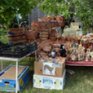 Múzeumok éjszakája - 2014 - Makó