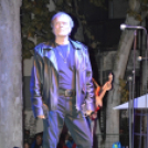 Hagymafesztivál: Bikini koncert képekben