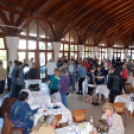 Egészségnap a Gimnáziumban és a Petőfi Parkban