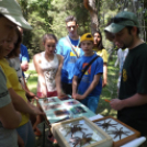 Hatszáz makói diák a Füvészkertben.