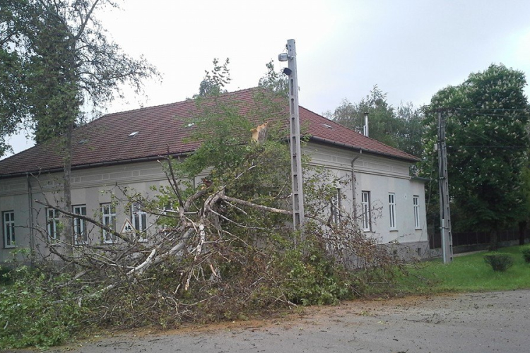Hatalmas lombkorona akadályozza a forgalmat az Erdélyi Püspök utcán