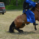 Gyermeknap Lóháton