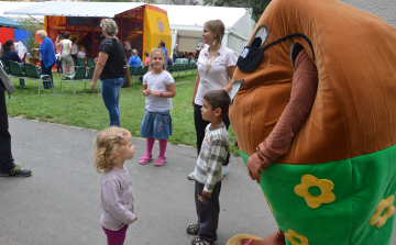 VIDEÓ: Üzenj haza a Hagymafesztiválról- Így üzentek TI :) 