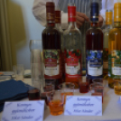 Turisztikai konferencia 2014. május 09. Makó