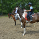 Gyermeknap Lóháton