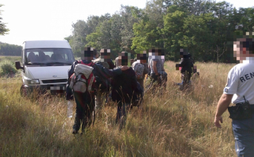 Határrendészeti hírek Csongrád megyéből