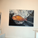 Múzeumok éjszakája - 2014 - Makó