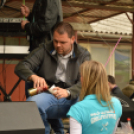 GRILLFESZTIVÁL MAKÓ - Folyamatosan Frissül