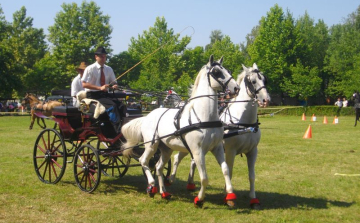 Fogathajtó világbajnokság Fábiánsebetyénen! 
