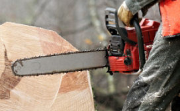 Láncfűrésszel fenyegetőztek Csanádpalotán