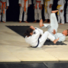 Budo Gála a Hagymaházban