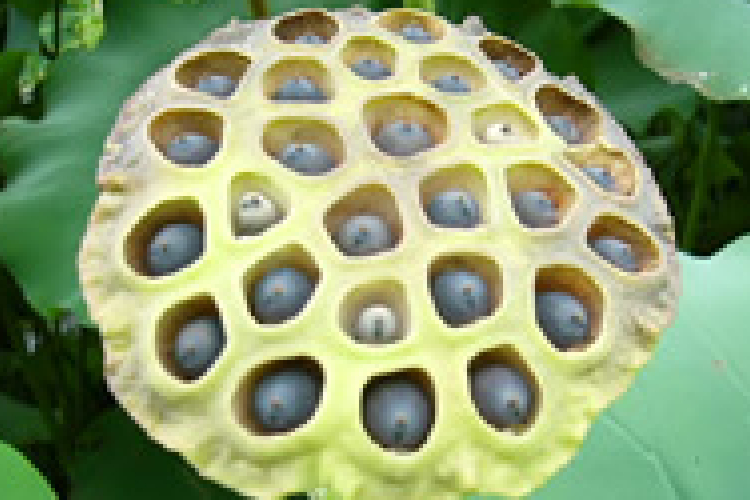 Ugye ismerős a kép? Most leleplezzük!