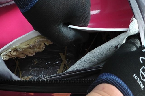 A bőrönddel vette a kábítószert