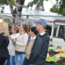 GRILLFESZTIVÁL MAKÓ - Folyamatosan Frissül