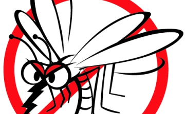 Szúnyoggyérítés Makón és térségében