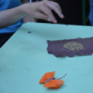 Kézműves udvar a makói Pápay Endre Oktatási Intézményben